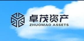 重慶卓茂投資管理 穩健布局與創新發展的投資之道